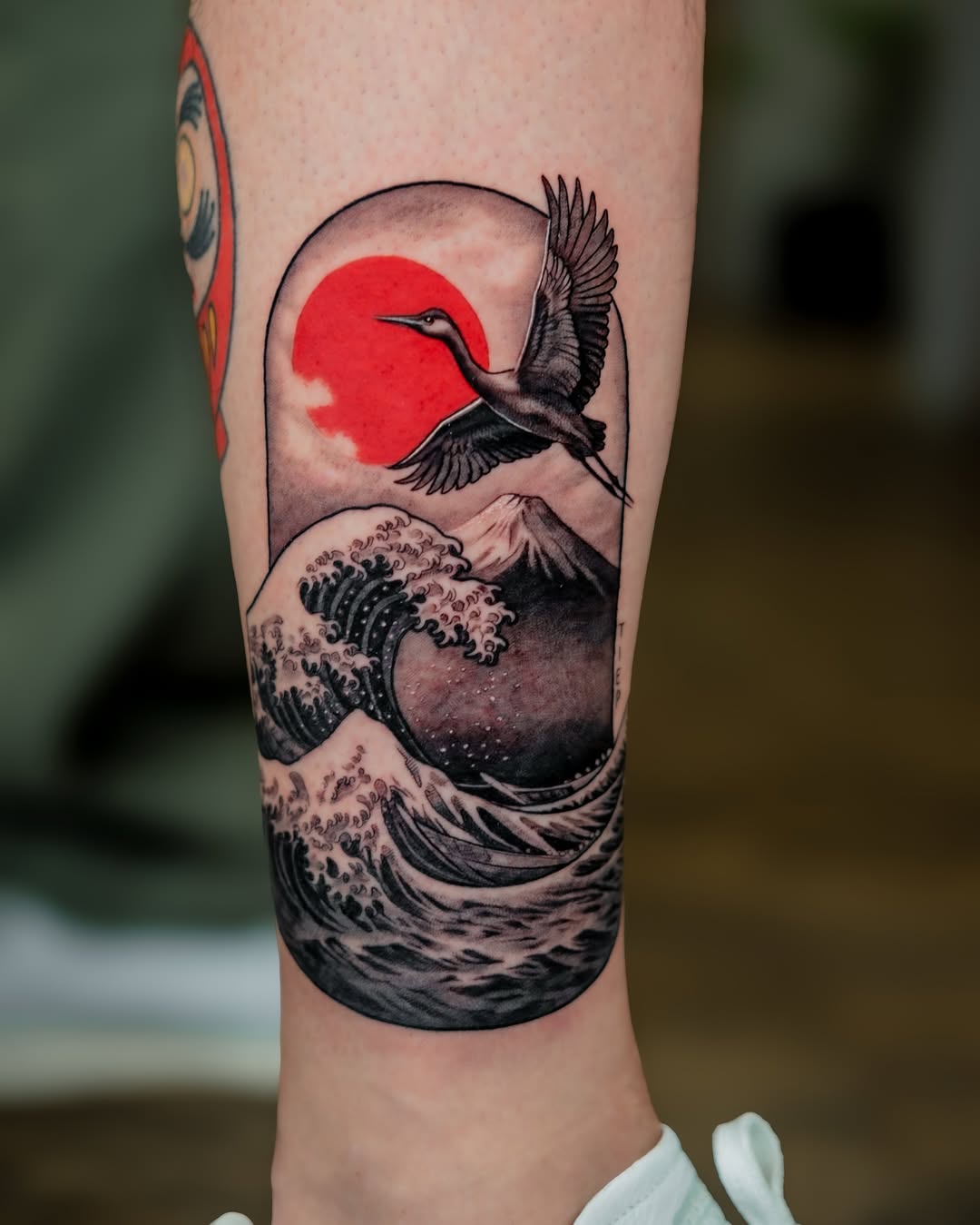 GRULLA / FUJI / OLA