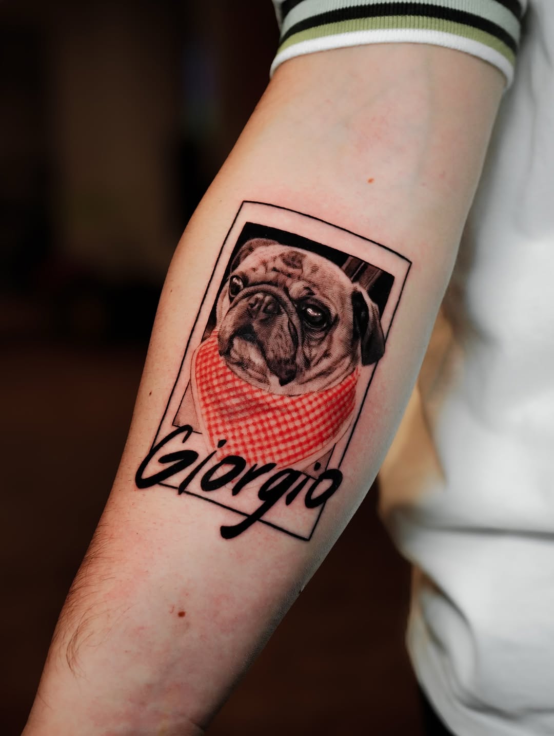GIORGIO / MEMORIAL