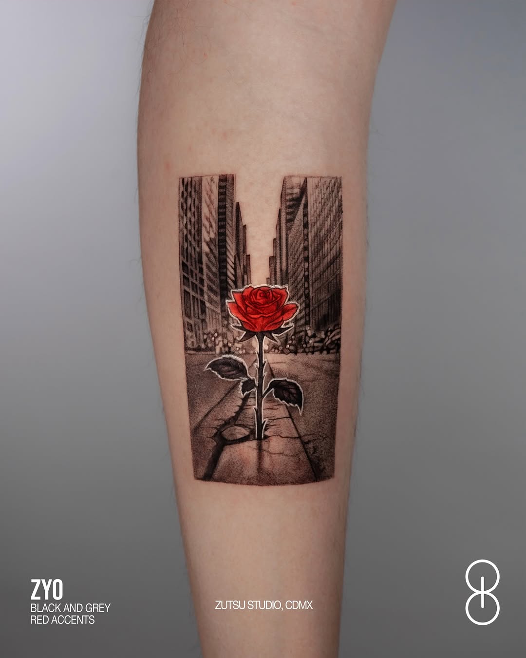 ROSA / CIUDAD